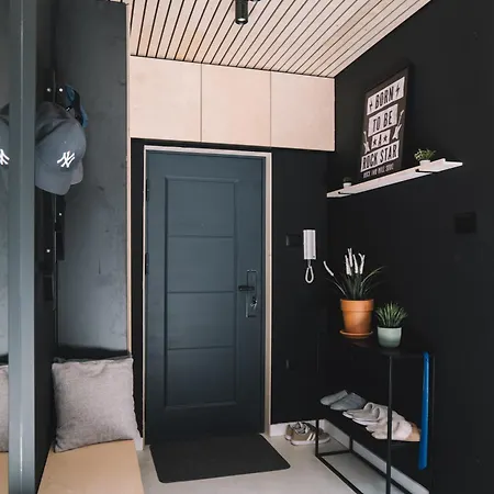 Beautiful Duplex Loft Apartment Nis